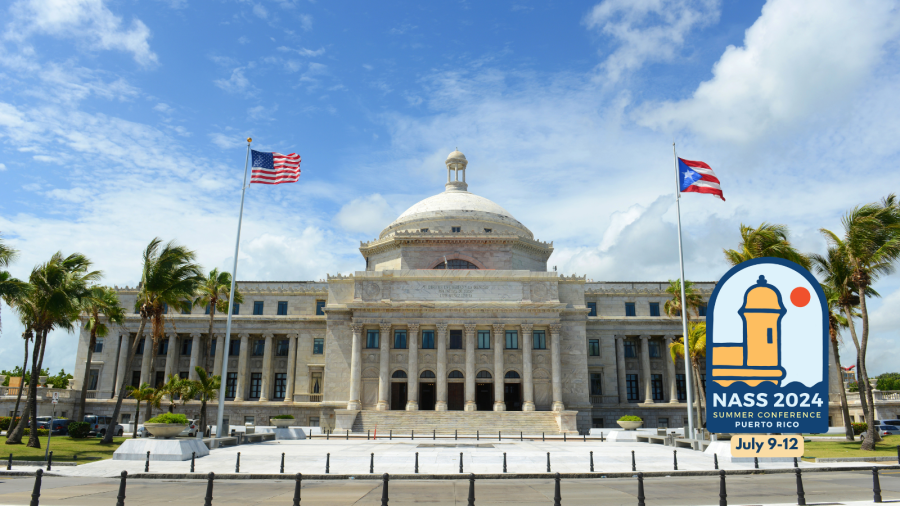 NASS 2024 Summer Conference NASS